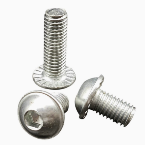 Half Round Knurled Hexagon Socket Bright Zinc Plated - Standard Fasteners - chinesboltmanufacture.com